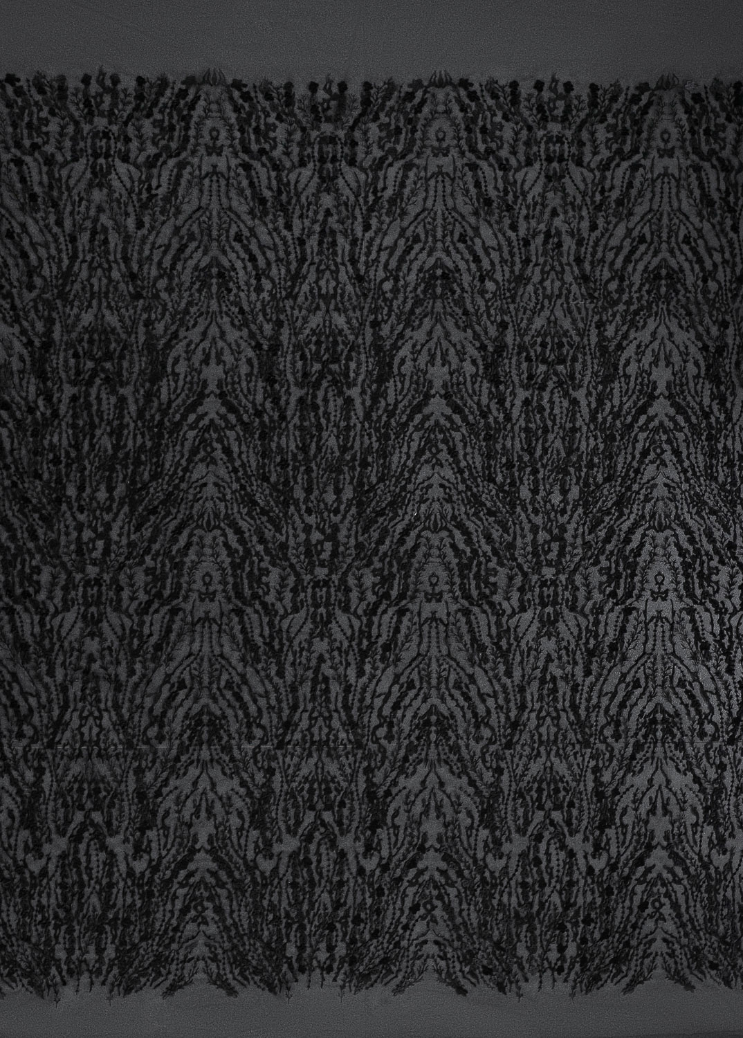 WD11-61 black, tulle black